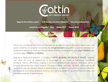 Tablet Screenshot of cattin.it